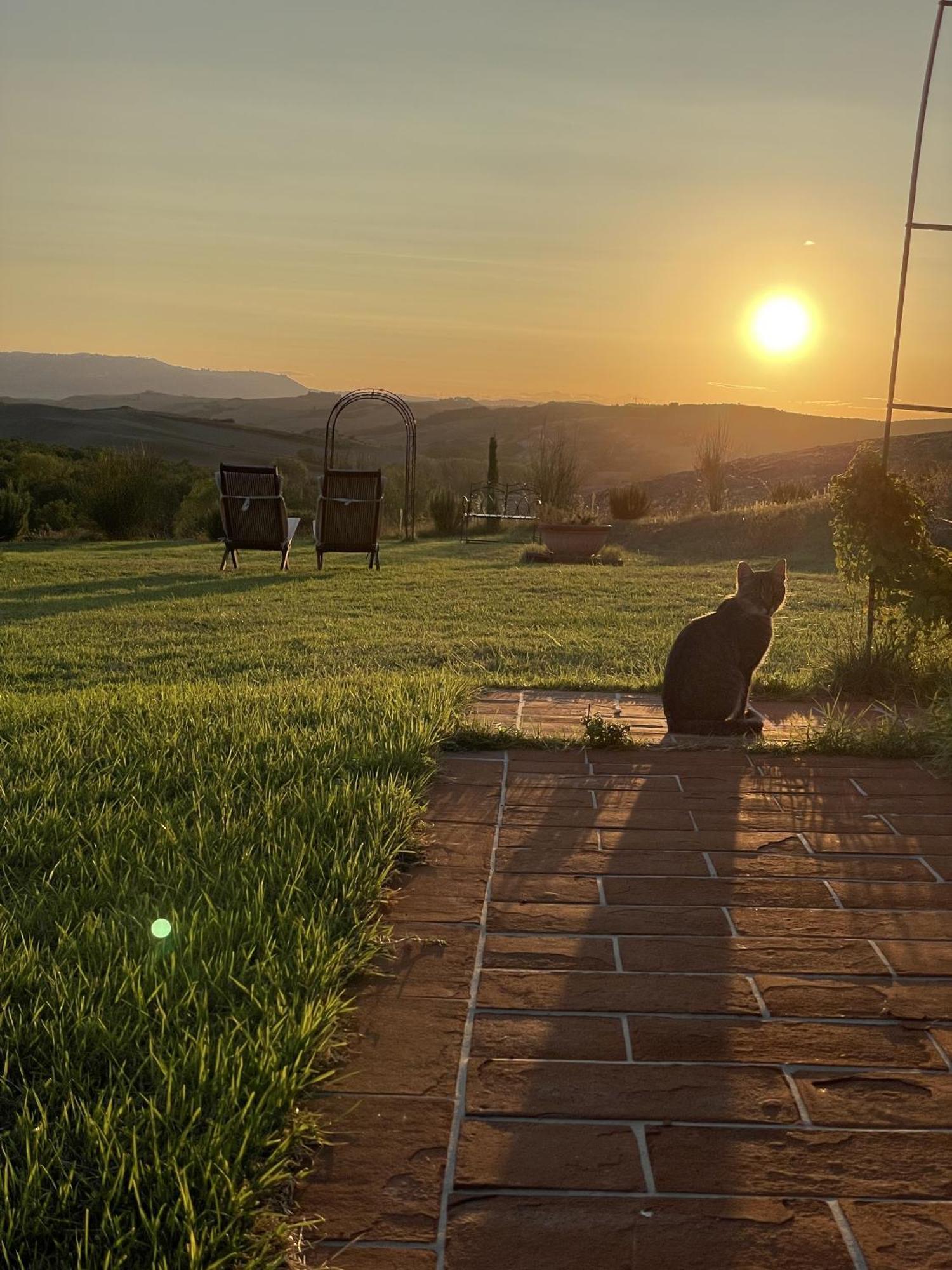 Vento D'Orcia Villa Pienza Ngoại thất bức ảnh