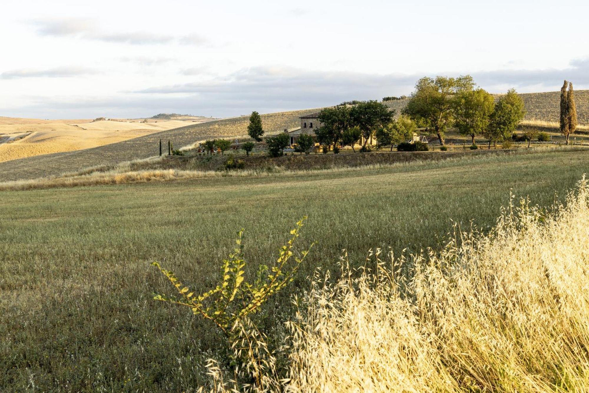 Vento D'Orcia Villa Pienza Ngoại thất bức ảnh